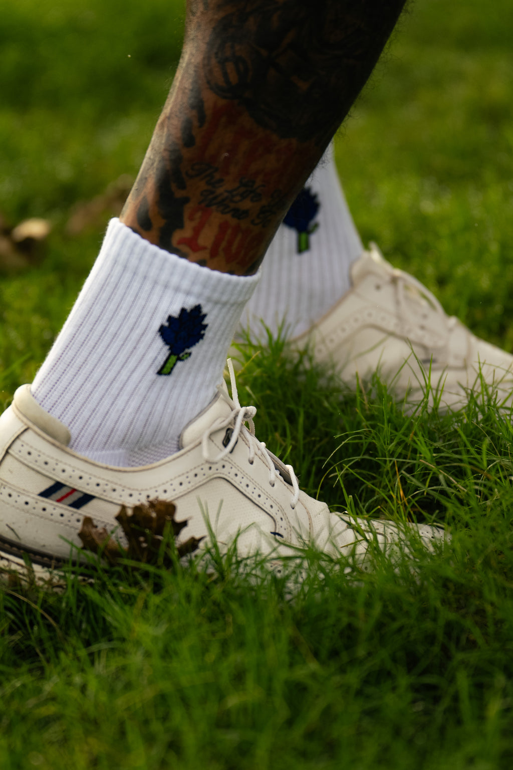 Bluebonnet Socks