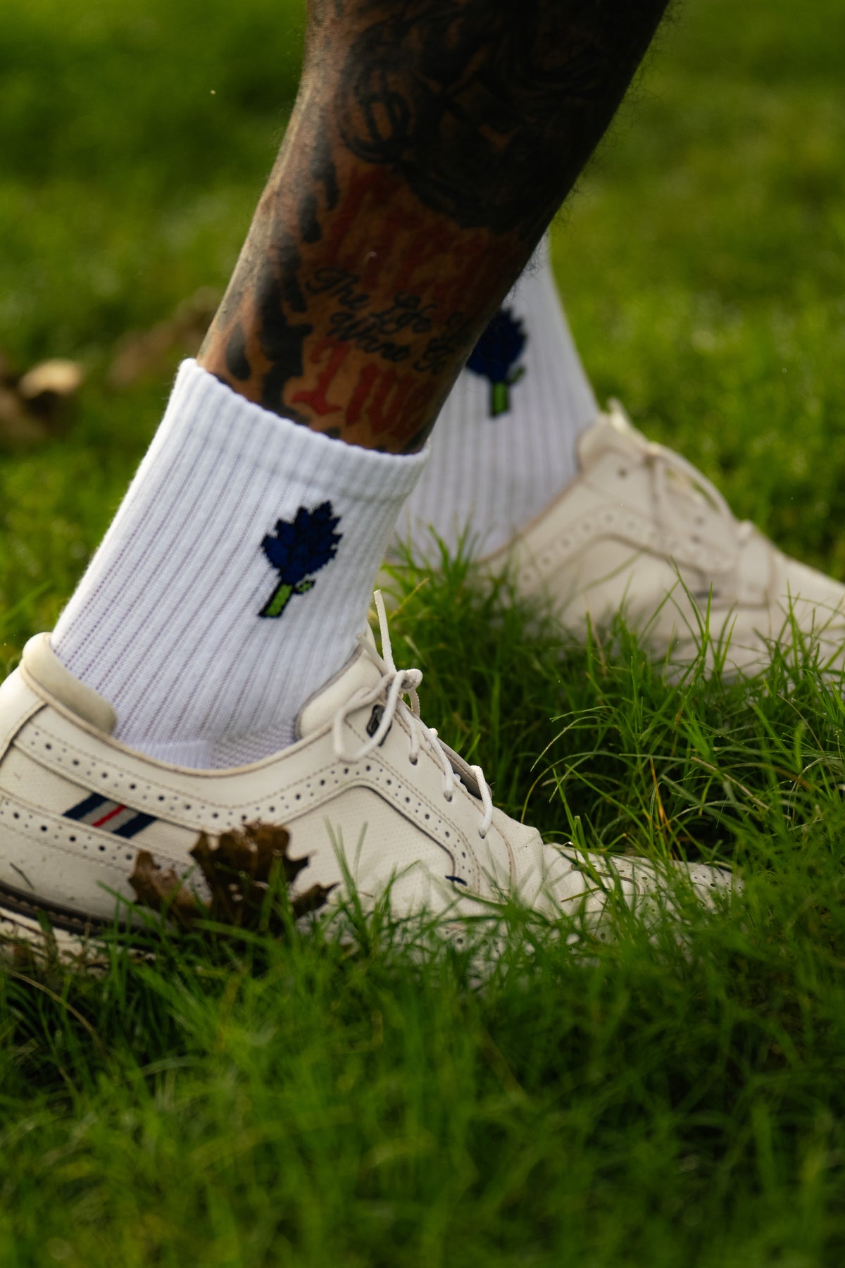 Bluebonnet Socks
